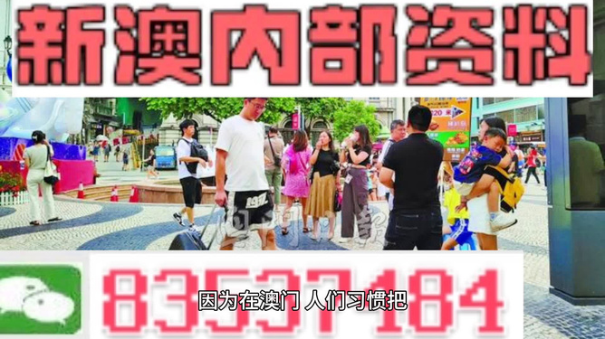 2024澳门正版资料大全免费，综合性计划评估_VR41.12.85