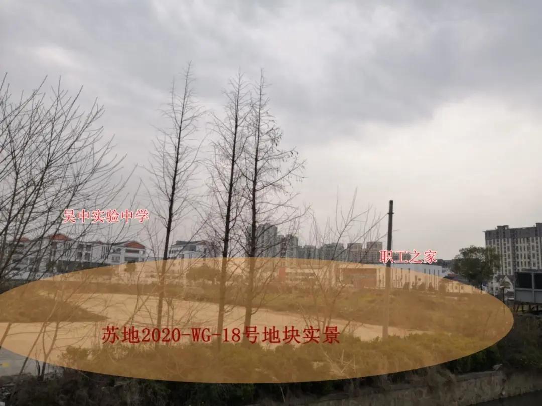 苏州土拍最新消息,专业解答解释定义_储蓄版23.41.42