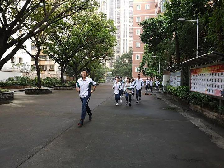佛山地震最新消息,数据解析支持设计_Phablet20.36.48