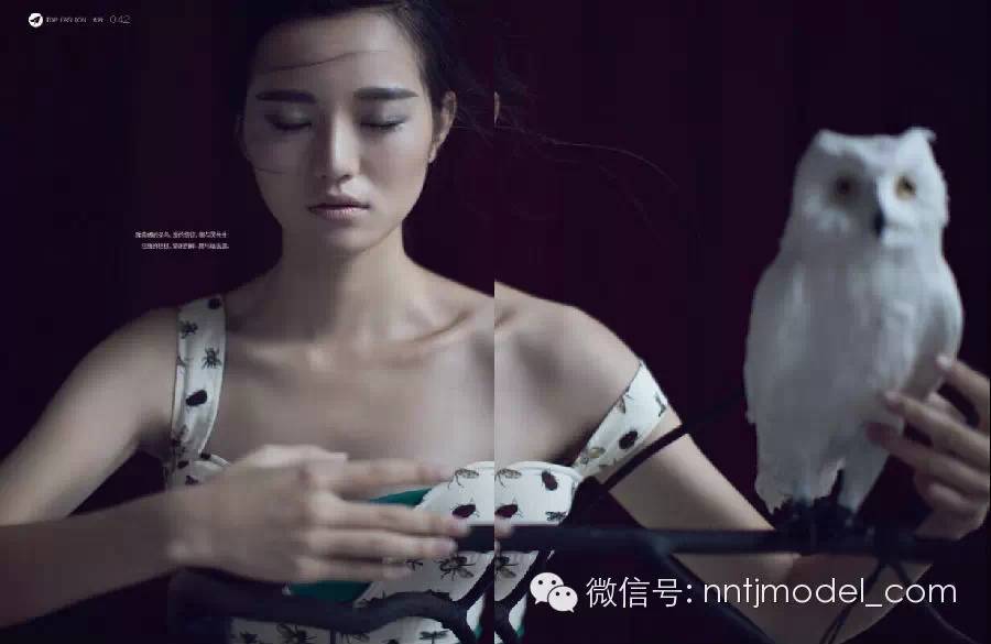 净最新影片在线看,统计研究解释定义_DP96.73.65