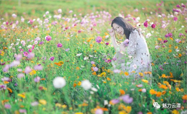 春暖花开sex8最新地址,可靠计划执行策略_7DM82.59.98