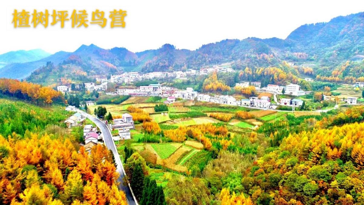 久久最新网址,深层数据策略设计_尊贵款35.99.47