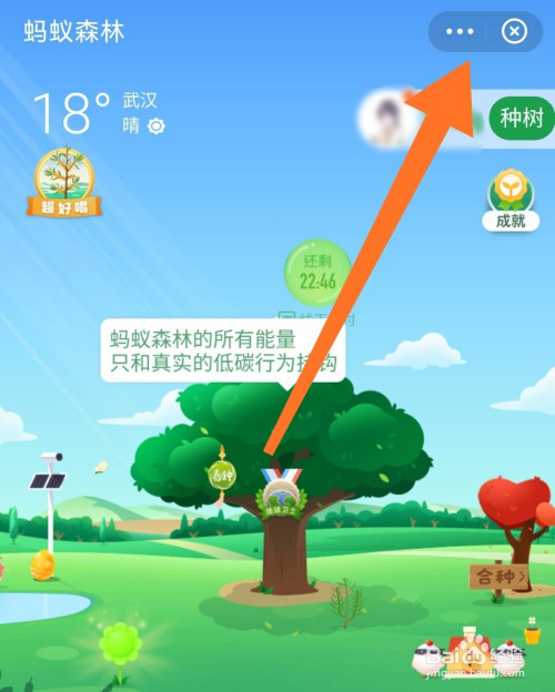 蚂蚁森林今日最新问题答案,快速响应执行策略_UHD91.98.44