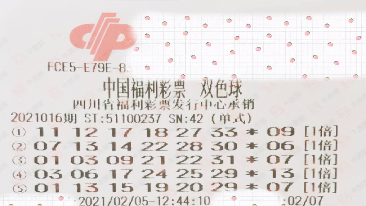 双色球最新结果,实地策略验证计划_精简版81.82.45