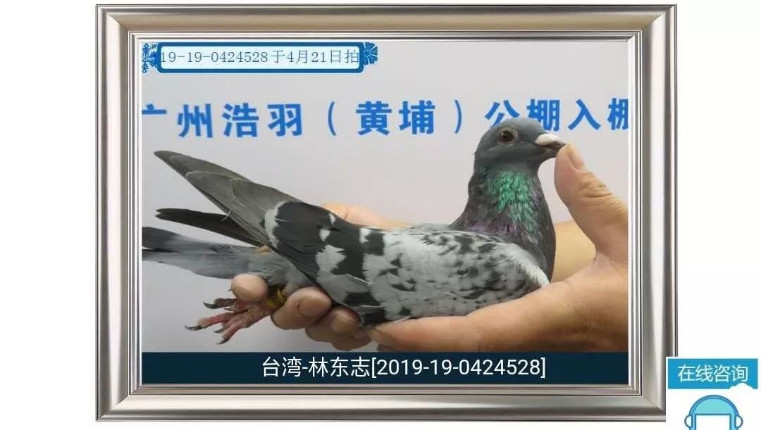 万博公棚最新公告,完善的机制评估_高级款70.53.23