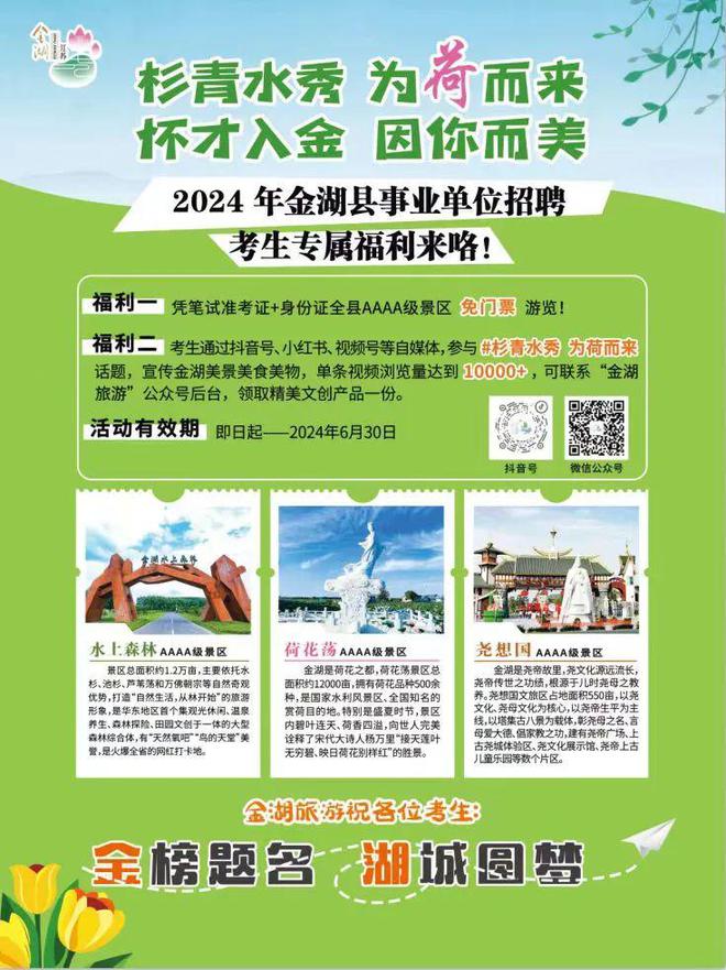 金湖人才网最新招聘,适用设计策略_W70.60.26