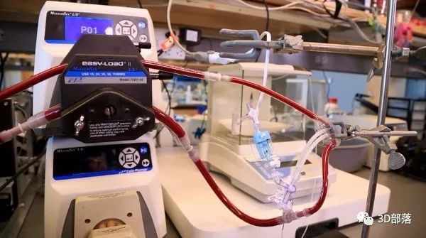 人工肾脏最新研究成果,高效解析说明_AP84.82.91
