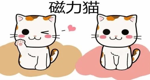凸轮分割器 第192页