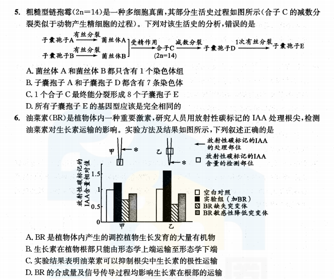 凸轮分割器 第176页