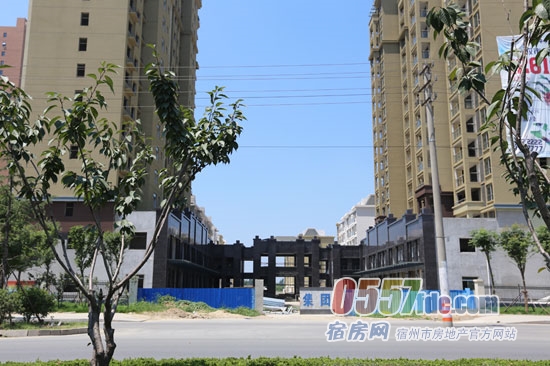 凸轮分割器 第99页