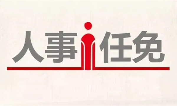 国电集团最新人事任免,深层数据策略设计_定制版97.51.98