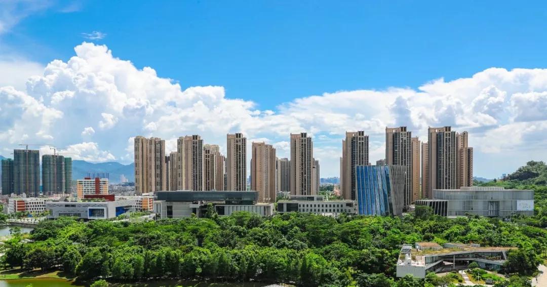 坪山新区最新领导班子,未来趋势解释定义_V258.30.44