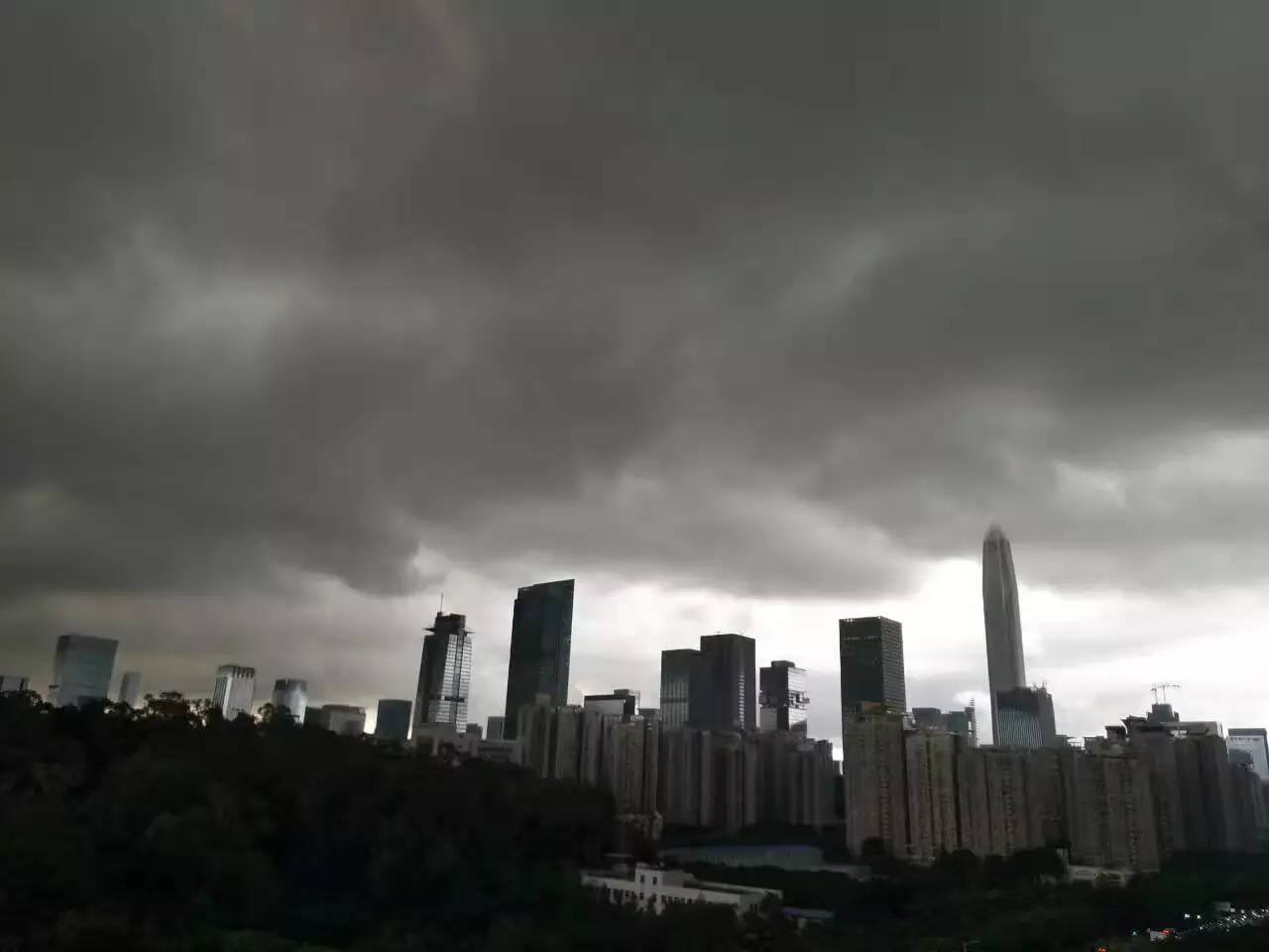 深圳最新台风